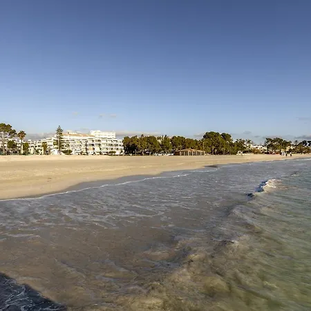 Apartment Beachfront In Cb 3 *