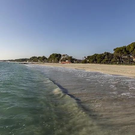 Apartment Beachfront In Cb 3